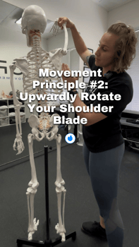 how to upwardly rotate your shoulder blade