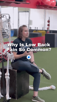 why is low back pain so common?