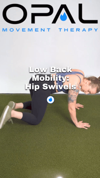 low back pain: hip swivels