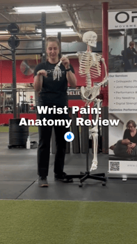 wrist anatomy review