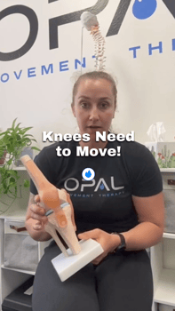 knee pain knees need to move